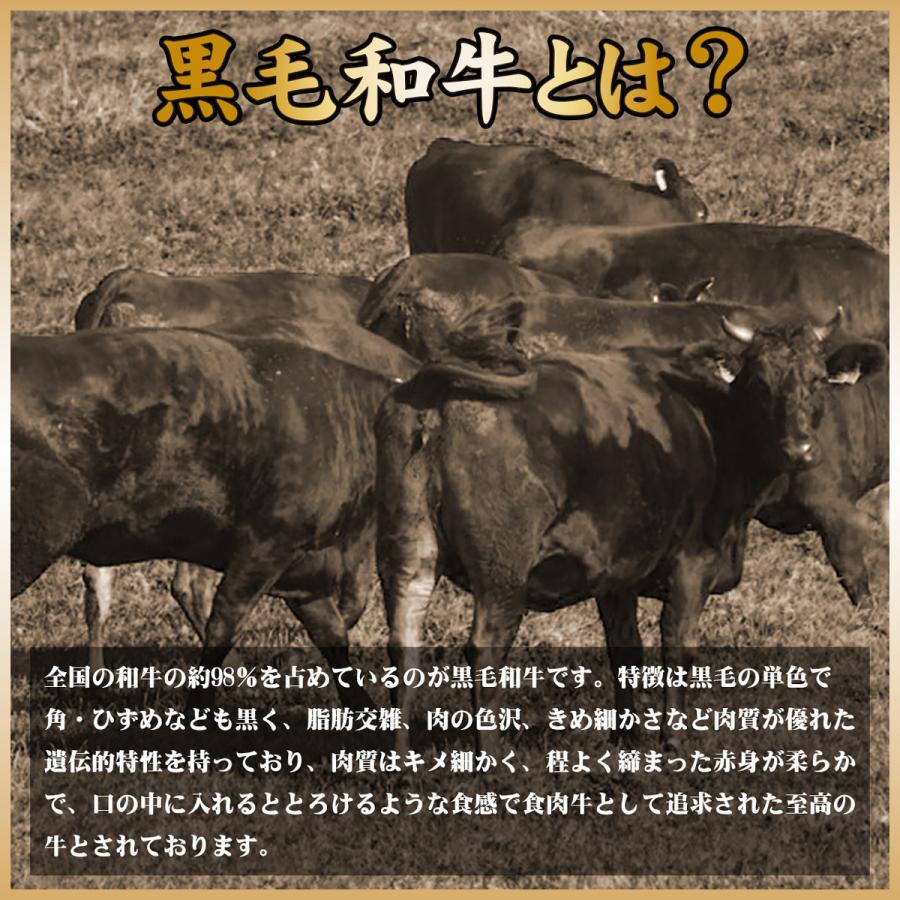 お歳暮 お年賀 肉 牛肉 和牛 焼肉 ステーキ おせち セット ギフト 内祝い 贈答 お取り寄せ 黒毛和牛 焼肉・ステーキ 千里屋厳選 和牛肉おせち 竹