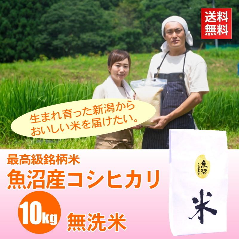 米 10kg 魚沼産コシヒカリ 無洗米   最高級銘柄米 お米 新潟 魚沼産 令和5年産 新米   人気 おいしい 新潟米 こしひかり 送料無料