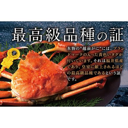 ふるさと納税 越前がに（オス）「ずわいがに」（400g〜600g） 1杯 福井県越前市