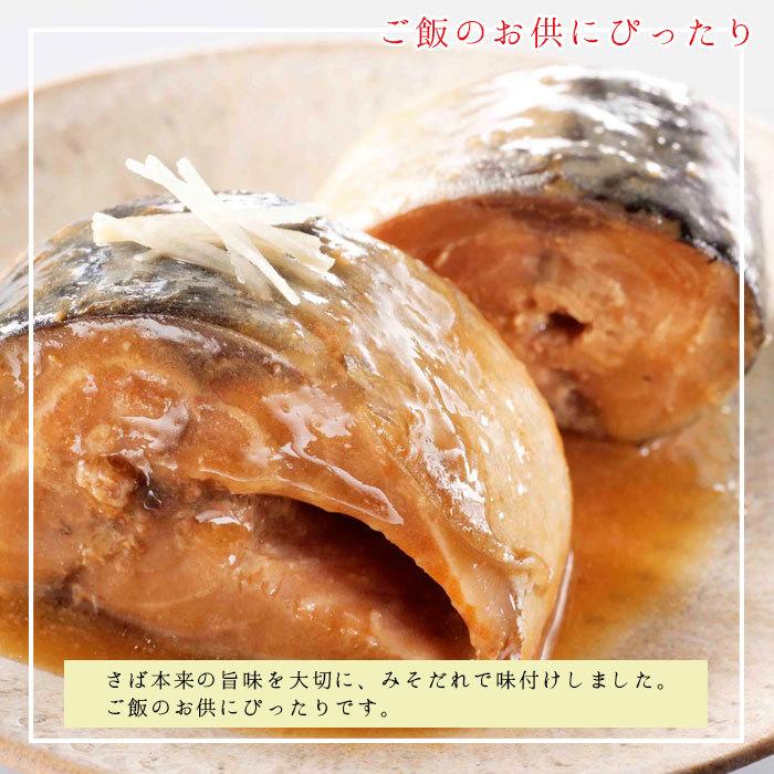 缶詰 魚 防災 非常食 鯖缶 味噌煮缶 12缶 セット 宝幸 HOKO 日本のさば サバ缶 鯖 サバ さば 味噌煮 12缶セット 缶詰め 缶づめ ギ