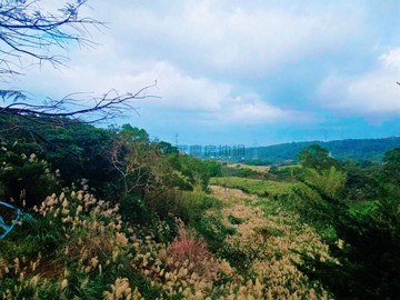 淡水小蔡☆☆三芝景觀農地☆☆有水有電靜謐臨路｜新北市三芝區土地公埔