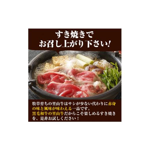 ふるさと納税 鹿児島県 志布志市 牧草育ちの里山牛 すき焼き用ロース 計800g c5-014