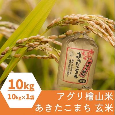 ふるさと納税 能代市 秋田県産 あきたこまち 10kg アグリ檜山[No.5335-0036]