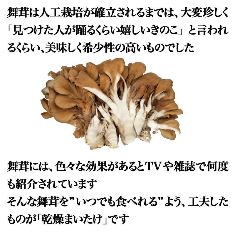 舞茸 まいたけ 乾燥舞茸 国産 40g×3袋 折れや欠け 送料無料