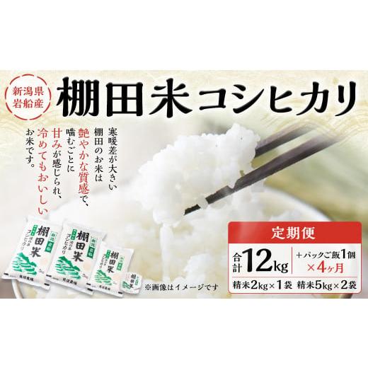 ふるさと納税 新潟県 村上市 新潟県岩船産 棚田米コシヒカリ 12kg パックごはん(150g×1個)×4ヶ月 1067015