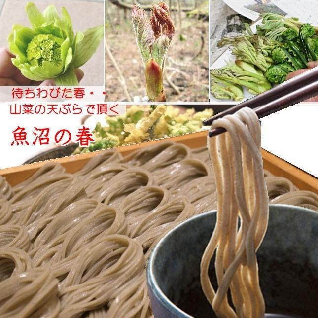 蕎麦 美味しい お蕎麦 ギフト 送料無料 へぎそば 10人前（細切り 200ｇ 5束入）