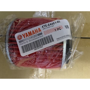 空氣濾網（風光125）