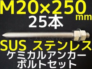 ケミカルボルト アンカーボルト ステンレス M20×250mm 25本 寸切ボルト1本 ナット2個 ワッシャー1個 Vカット 両面カット SUS304