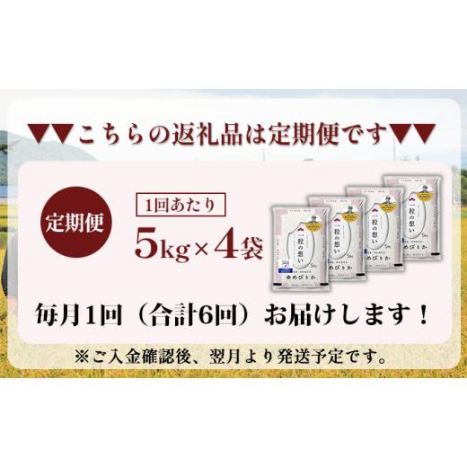 ふるさと納税 北海道 仁木町 6ヵ月連続お届け　銀山米研究会のお米＜ゆめぴりか＞20kg