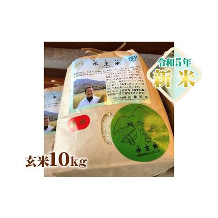ふるさと納税 令和5年地域ブランド有機米「こんちゃん農園の水主米(みずしまい)」玄米10kg 香川県東かがわ市