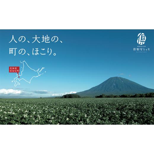 ふるさと納税 北海道 倶知安町 本マ印 熟成 じゃが薯 3種 食べ比べ セット じゃがいも チルド 600g