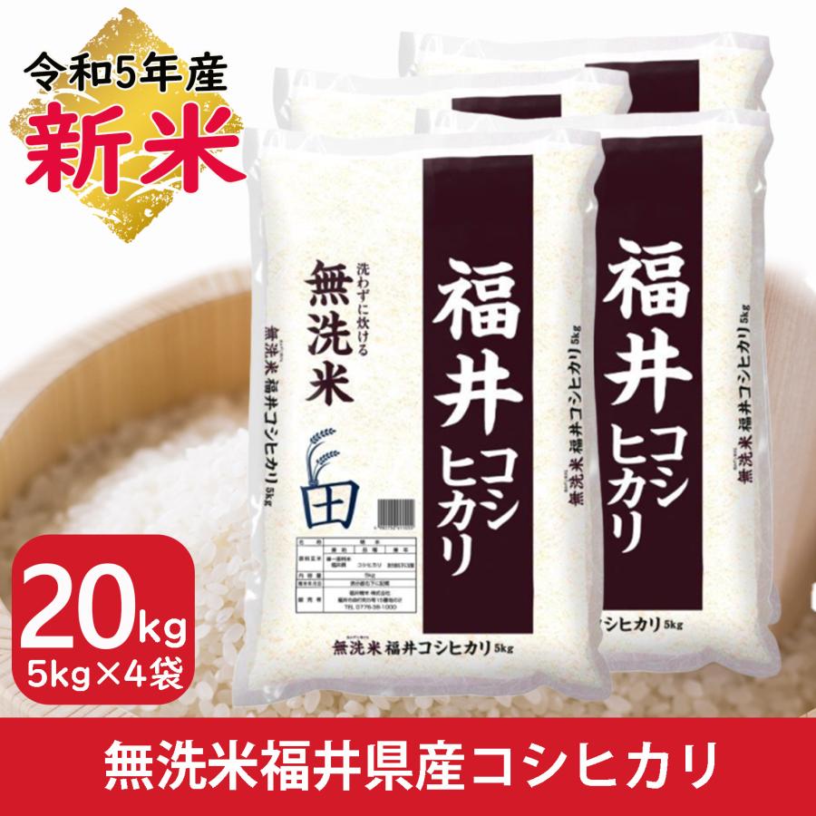 新米 米 無洗米 20kg 5kg×4袋 コシヒカリ 福井県産 白米 令和5年産 送料無料