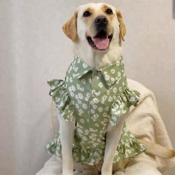 💕在臺出貨🔥狗狗夏季衣服大型犬薄款大狗裙子可愛風中小型犬裙子衣服貓咪衣服
