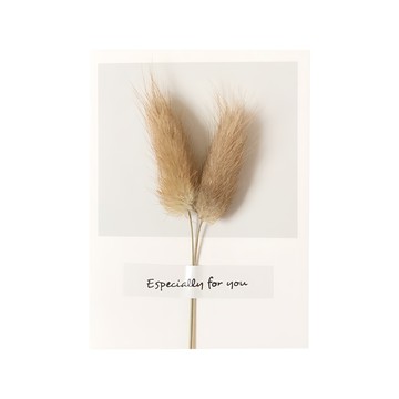 原色兔尾巴卡片 乾燥花卡片 9*16cm  原色兔尾巴  10張