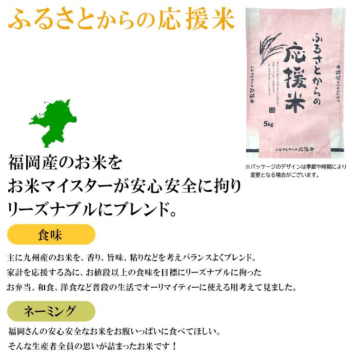 米10kg 米 お米 10kg ふるさと応援米 5kg×2袋 セット 送料無料 こめ 小分け 精米 つきたて米 ブレンド米 国内産