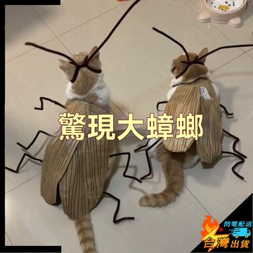 【台灣出貨】寵物衣服 貓咪搞怪服飾 貓咪蟑螂服 貓條紋衣服 蟑螂造型 貓咪搞笑衣服