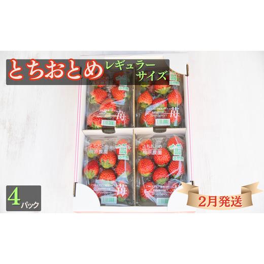 ふるさと納税 茨城県 鉾田市 とちおとめ（レギュラーサイズ）4パック