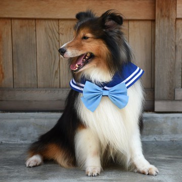 萌少女戰士水手領 - 水星**兩種穿搭、附蝴蝶結或水手結**