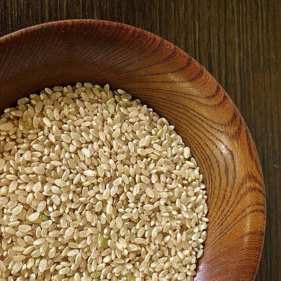 令和５年度米 お米ソムリエ 監修 乳酸菌入り あきたこまち BROWN RICE  玄米 ２kg