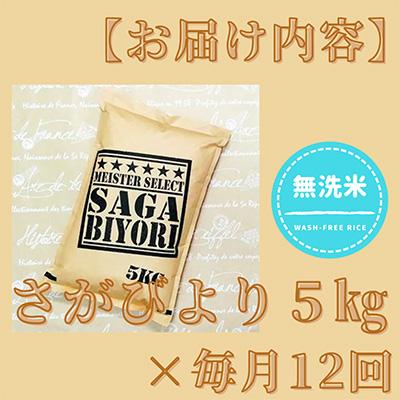 ふるさと納税 江北町 特A評価!『さがびより』5kg(江北町)全12回