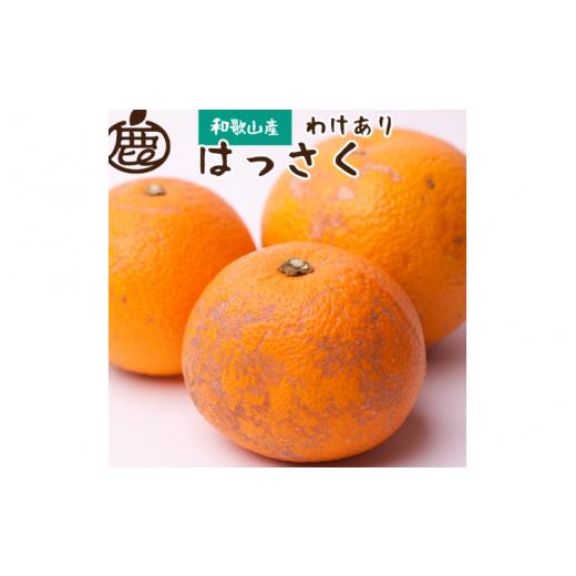 ふるさと納税 和歌山県 すさみ町 ＜先行予約＞家庭用 はっさく3kg 90g（傷み補償分）＜1月より発送＞ ※北海道・沖縄・離島への配…