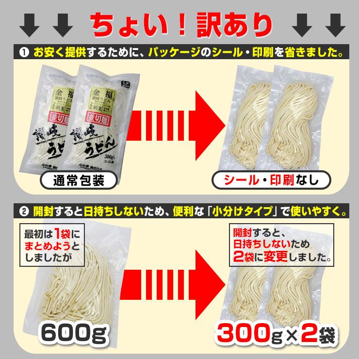 純生 讃岐 うどん ドーンと6食 便利な個包装 300g×2袋 600g 醤油 つゆ付 送料無料   得トクセール 特産品 訳あり