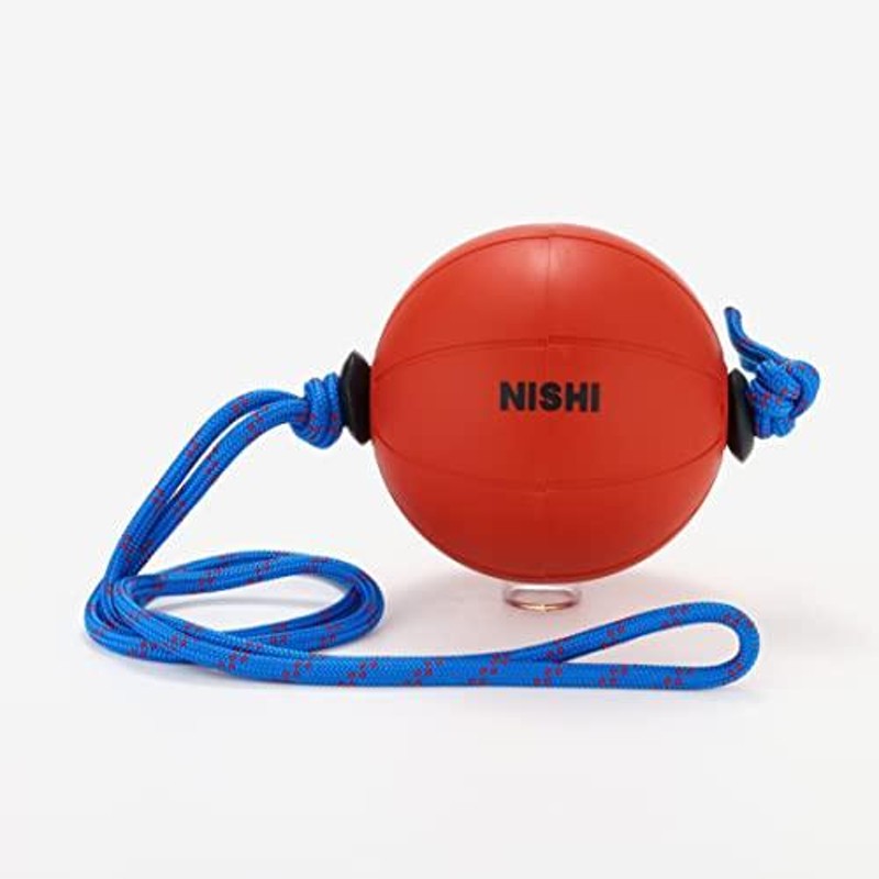 NISHI(ニシ・スポーツ) スウィングメディシンボール 2kg T5912 | LINE