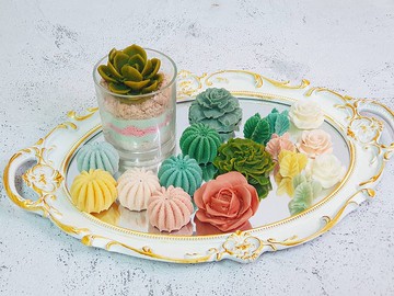 【我是多肉不是肉多】蠟燭材料包/沙畫 仙人掌/多肉植物