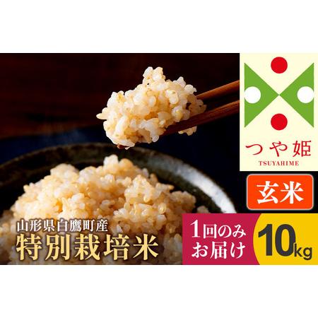 ふるさと納税 つや姫 10kg（特別栽培米）令和5年産 山形県産 しらたかのお米 山形県白鷹町