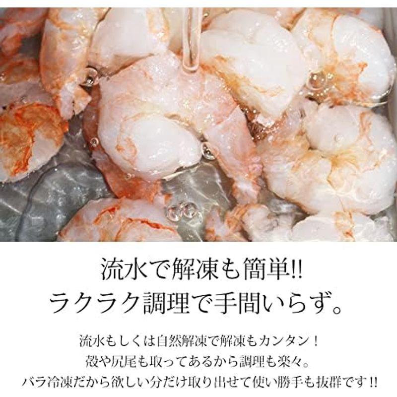 魚耕 海老フライ エビフライ 冷凍 特大 10尾