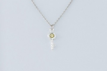 心鎖系列-藤蔓之鑰 造型項鍊 (NLAJA0881N-1)