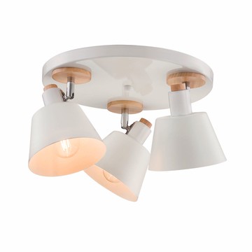 E27 投光吸頂三燈 B209-040025