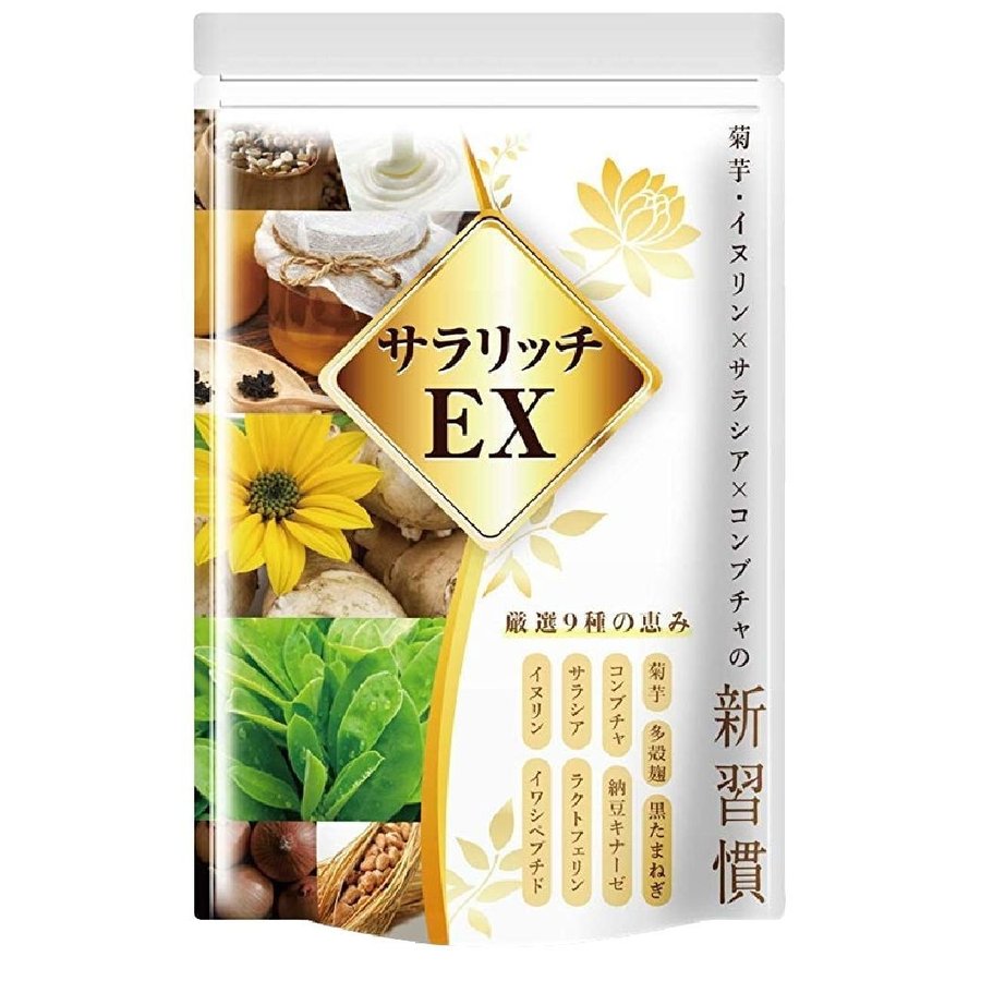 イヌリン 菊芋 食物繊維 サプリ サラシア コンブチャ ナットウキナーゼ ラクトフェリン サラリッチEX 180粒 多殻麹 黒たまねぎ 通販  LINEポイント最大0.5%GET | LINEショッピング