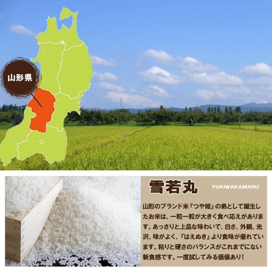 令和5年 山形県産 雪若丸 精米済 25kg〔5kg×5〕（送料無料）