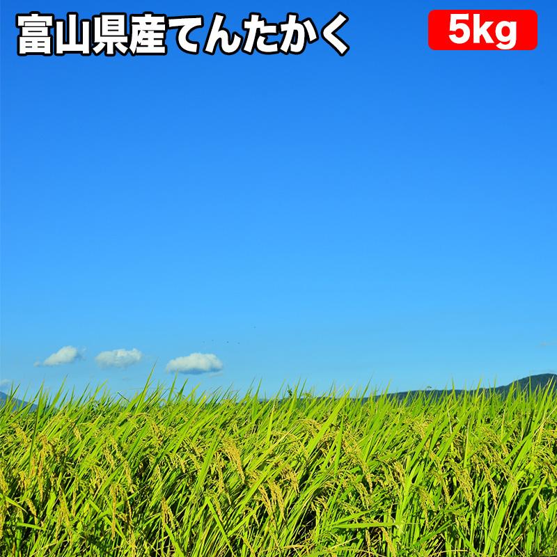 新米 令和5年産 米 5kg お米 玄米（5kg×真空パック1袋） てんたかく 富山県産 令和5年産 精米無料 真空無料 送料無料