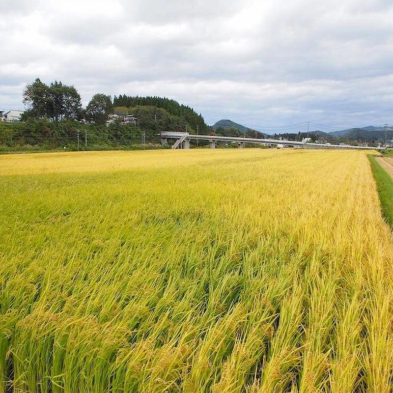 米 玄米 岩手県雫石産ひとめぼれ ２Kｇ 袋