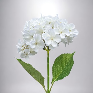 FLORAL M 夏日京都大型繡球花吹雪仿真花花材  白色  1件