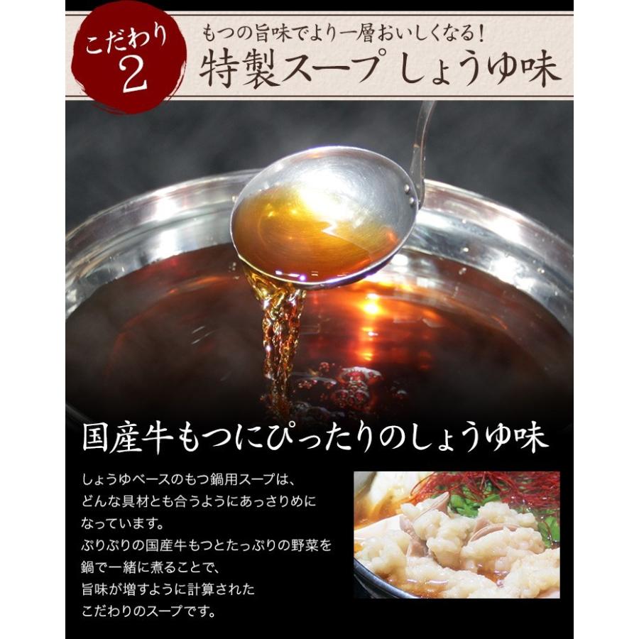 もつ鍋 もつ鍋セット ホルモン鍋 国産 醤油 300g ちゃんぽん麺 スープ