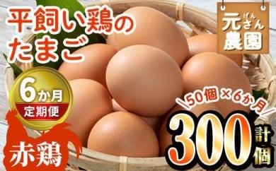 ＜定期便・全6回 (連続)＞平飼い赤鶏のたまご (総量300個・S-Mサイズ50個×6回) 元さん農園