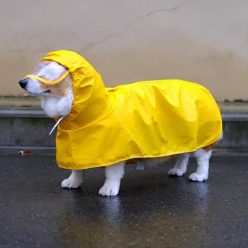 寵物狗雨衣柯基雨衣防水防臟護肚子中小型犬外出衣【匯美優品】