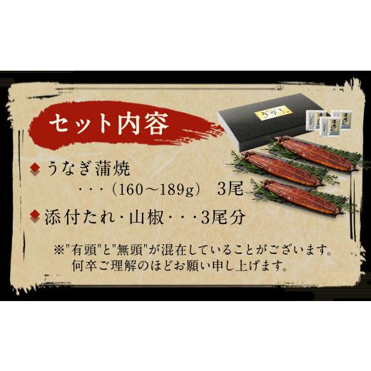 ふるさと納税 福岡県 北九州市 九州産 うなぎ 蒲焼 大 3尾 (1尾あたり160〜189g)