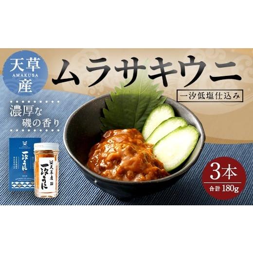 ふるさと納税 熊本県 上天草市 天草産ムラサキウニだらけ　豪華3本セット　(一汐低塩仕込み／60g)