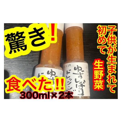 ふるさと納税 高知県 南国市 ゆずしぼりドレッシング（300ml×2本）