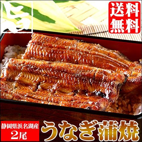 お歳暮 うなぎ ギフト 送料無料 静岡県 浜松・浜名湖産うなぎセット(2尾入り)   御歳暮 冬ギフト ウナギ 鰻 蒲焼き お取り寄せ 国産 内祝い お返し