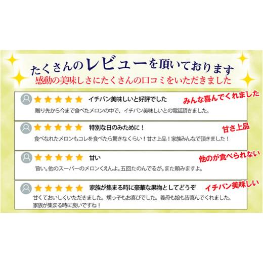 ふるさと納税 静岡県 浜松市 クラウンメロン中玉（1.3kg前後）1玉入り [No.5786-4427]