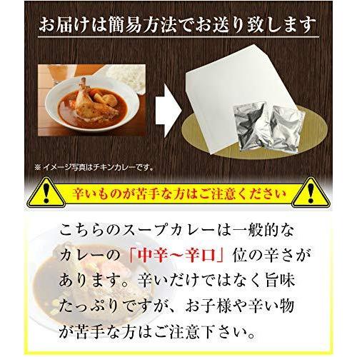  スープカレー レトルト 北海道 スパイシー チキンスープ カレー ゴロっと具材 常温 札幌