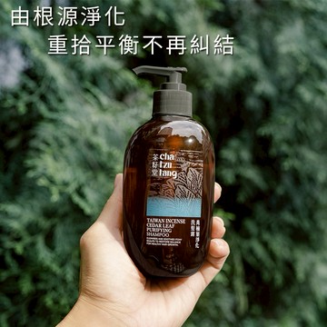 [快速出貨]【茶籽堂】獻給重整思緒的你｜肖楠葉淨化洗髮露500mL 附品牌紙袋