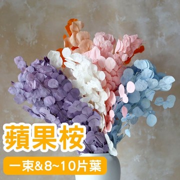 [🌹DIY🌸絕美花材🌹]蘋果桉 永生蘋果桉 漂白蘋果桉 乾燥花 永生花 DIY手作 小花束 花束 拍攝道具 佈置