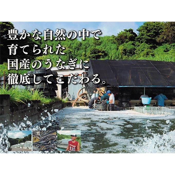 うなぎ 蒲焼 国産 送料無料 新仔 約160g 2尾 お取り寄せグルメ