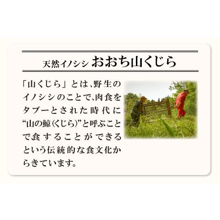 ふるさと納税 イノシシ肉の缶詰 11缶セット 島根県美郷町